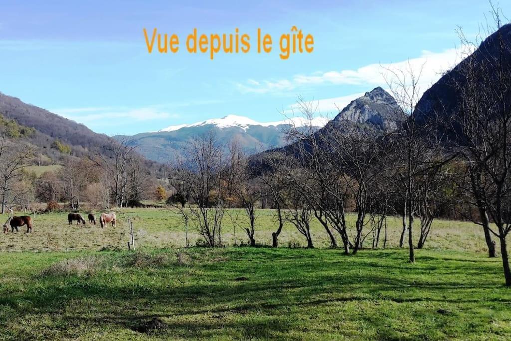 Grange En Pierres. Grand Jardin Et Belle Vue Saurat Exterior foto