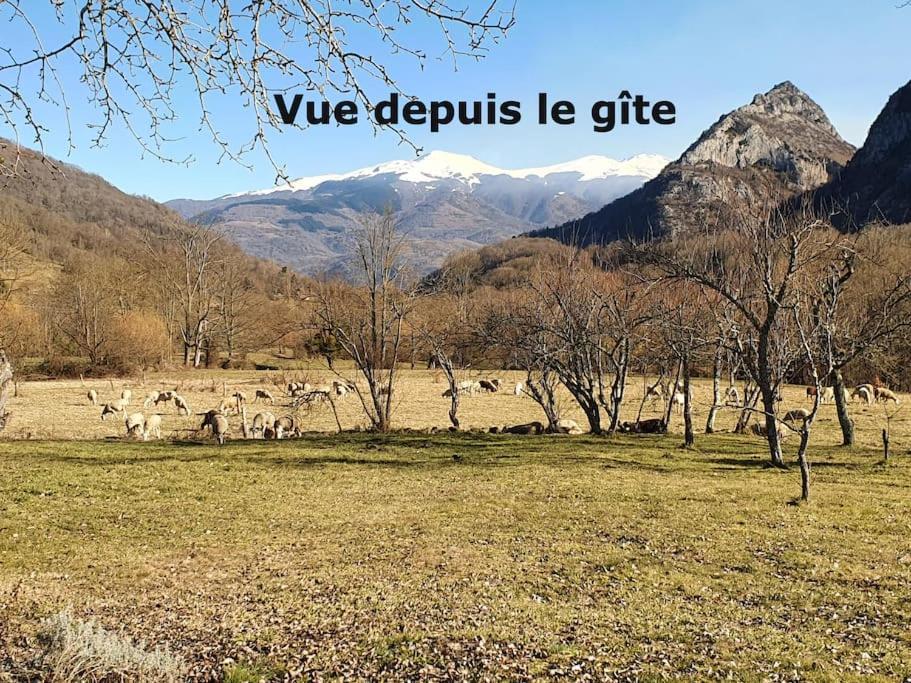Grange En Pierres. Grand Jardin Et Belle Vue Saurat Exterior foto