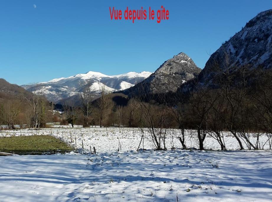 Grange En Pierres. Grand Jardin Et Belle Vue Saurat Exterior foto