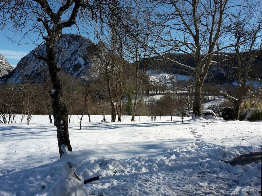 Grange En Pierres. Grand Jardin Et Belle Vue Saurat Exterior foto